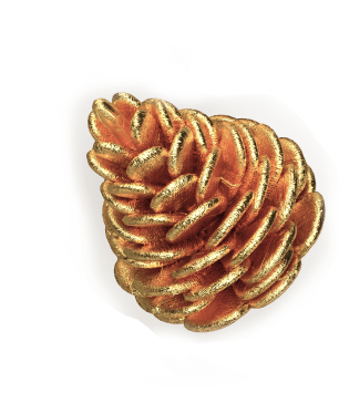 Шишка справа снизу