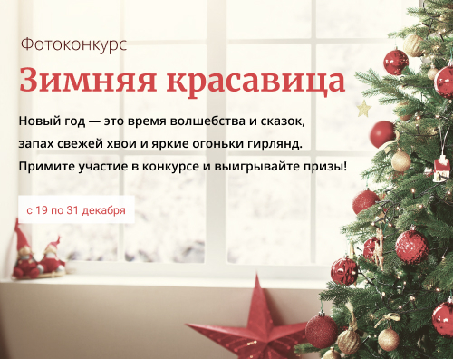 Зимняя красавица